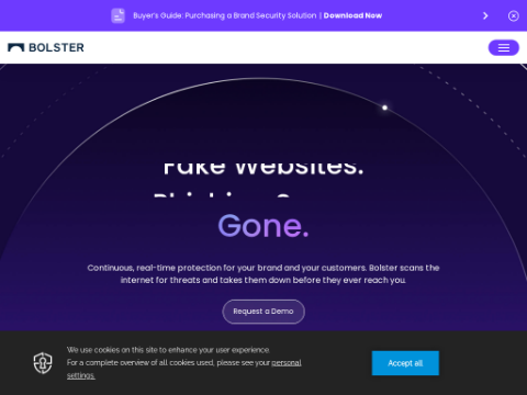 Screenshot of the homepage of bolster.ai