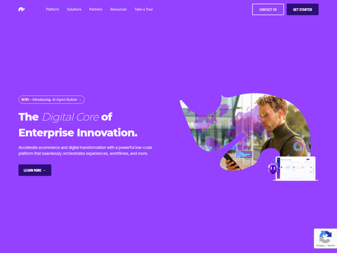 Screenshot of the homepage of rierino.com