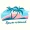 roam around app logo